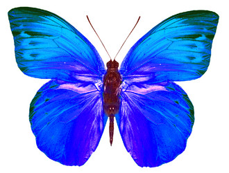 Similar image 671190