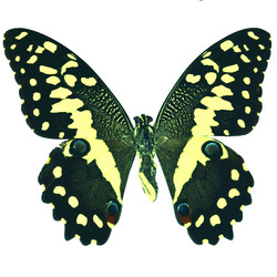 Similar image 671192