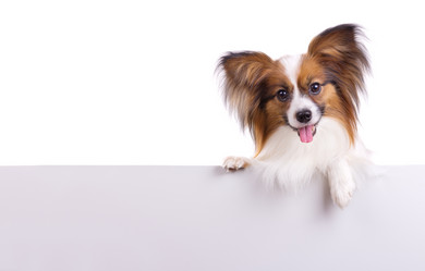 Similar image 671194