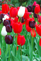 Similar image 671231