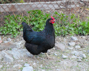 Similar image 671233