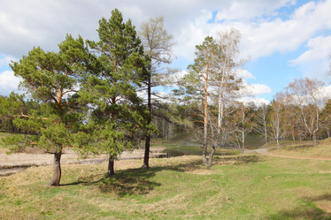 Similar image 671239