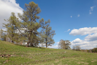 Similar image 671241