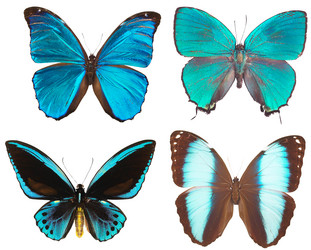 Similar image 671243