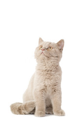 Similar image 671257