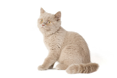 Similar image 671258