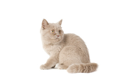 Similar image 671261