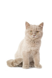 Similar image 671262