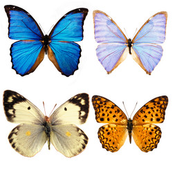 Similar image 671263