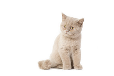 Similar image 671264