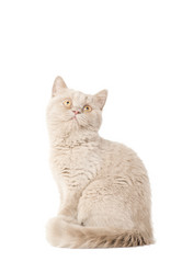 Similar image 671266