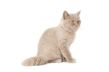 Similar image 671267