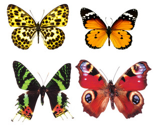 Similar image 671269