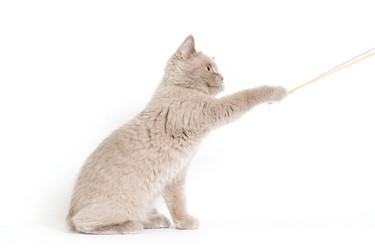 Similar image 671271