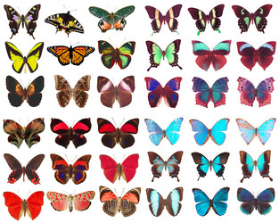 Similar image 671273