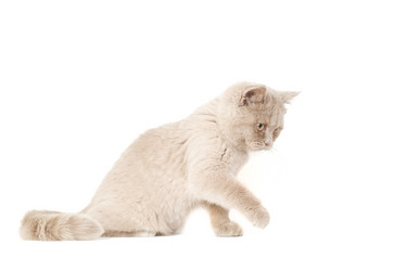 Similar image 671274