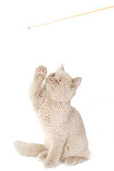 Similar image 671275