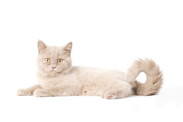 Similar image 671277