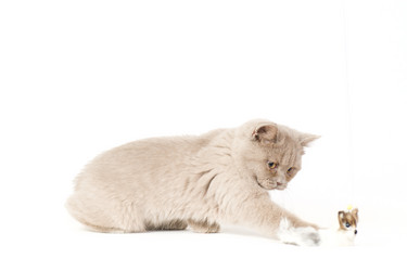 Similar image 671278