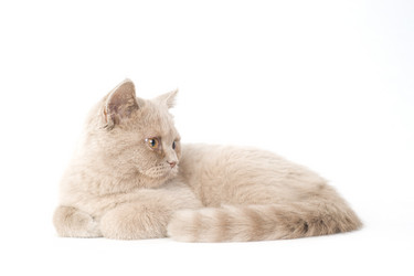 Similar image 671279