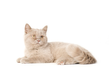 Similar image 671280