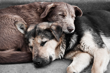 Similar image 671286