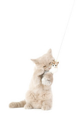 Similar image 671291