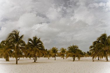 Similar image 671293