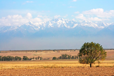 Similar image 671297