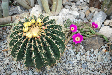 Similar image 671369