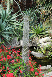 Similar image 671370