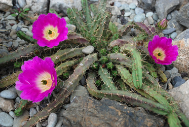 Similar image 671371