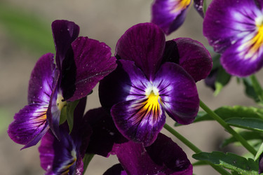 Similar image 671376