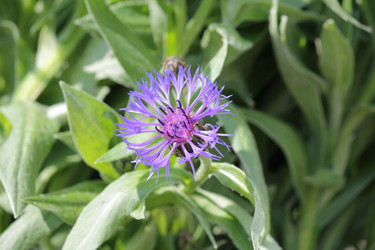 Similar image 671378