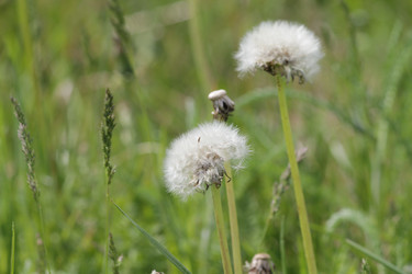 Similar image 671380