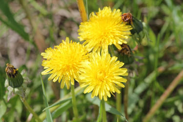 Similar image 671381