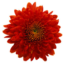 Similar image 671392