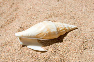 Similar image 671414