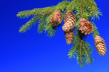 Similar image 671429