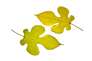 Similar image 671452