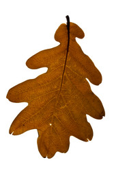 Similar image 671474