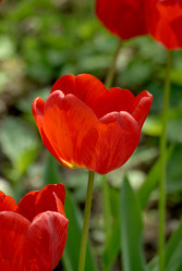 Similar image 671476