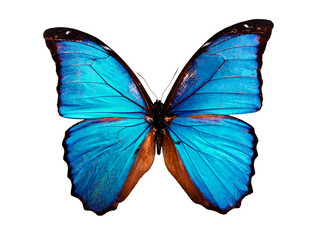 Similar image 671482