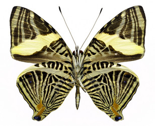 Similar image 671483