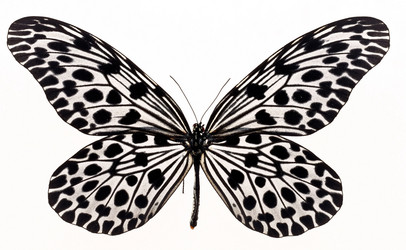 Similar image 671485