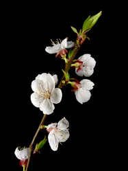 Similar image 671486