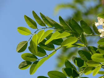 Similar image 671488