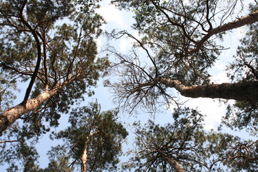 Similar image 671490