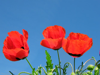 Similar image 671492