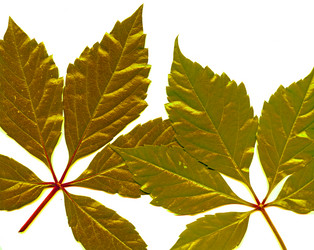 Similar image 671502